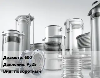 Компенсатор 600 Ру25 поворотный